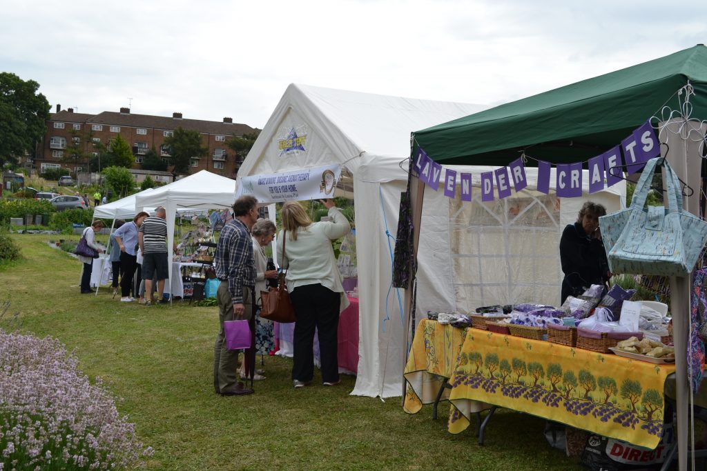 Annual Harvest Carshalton Lavender
