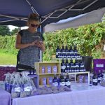 Lavender Harvest 2017